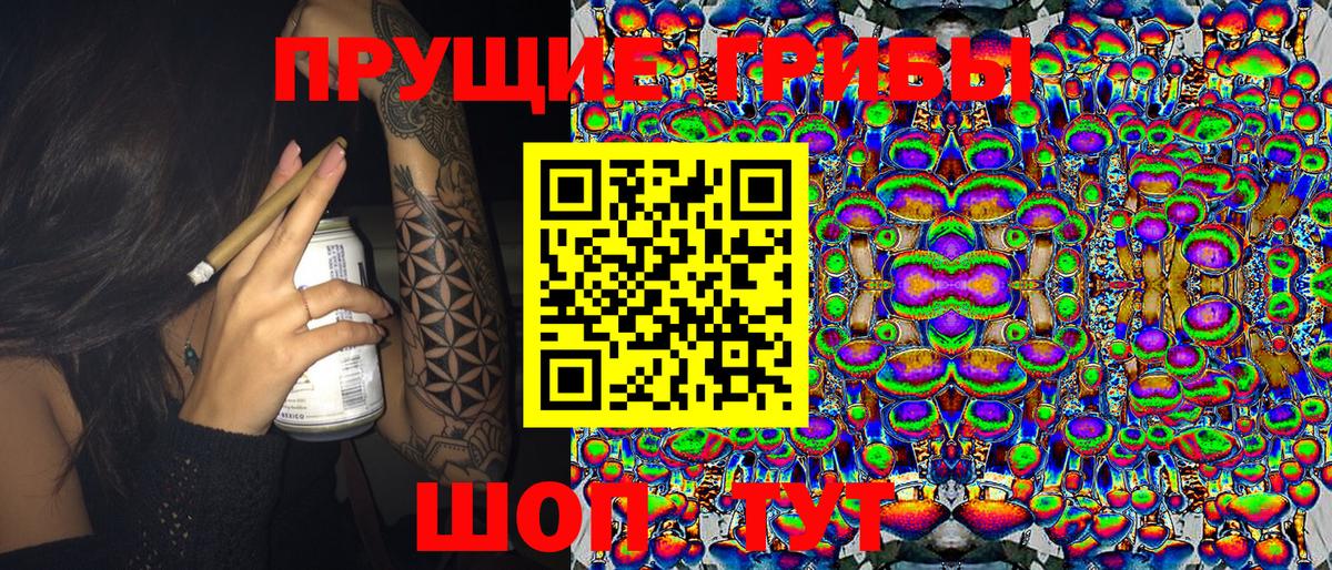 Ступино  Псилоцибиновые грибы мухоморы  Вход с VPN 